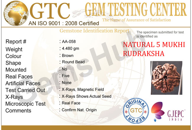 5 Mukhi Natural Certified Rudraksha Size- 21.7 mm Premium